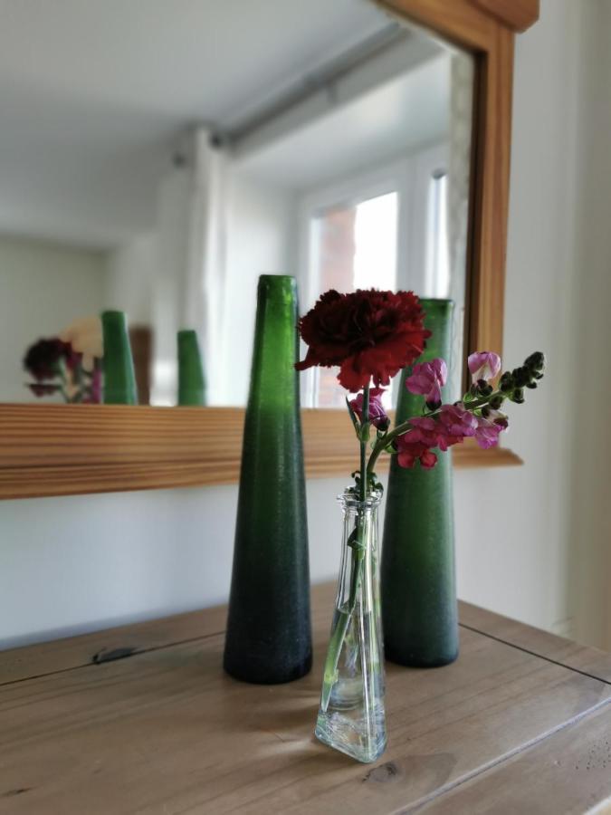 Bed and Breakfast Housing De Brouwerij Westdorpe Zewnętrze zdjęcie